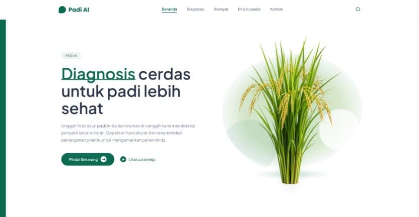 DokterPadi AI: Rice Disease Detection Using CNN